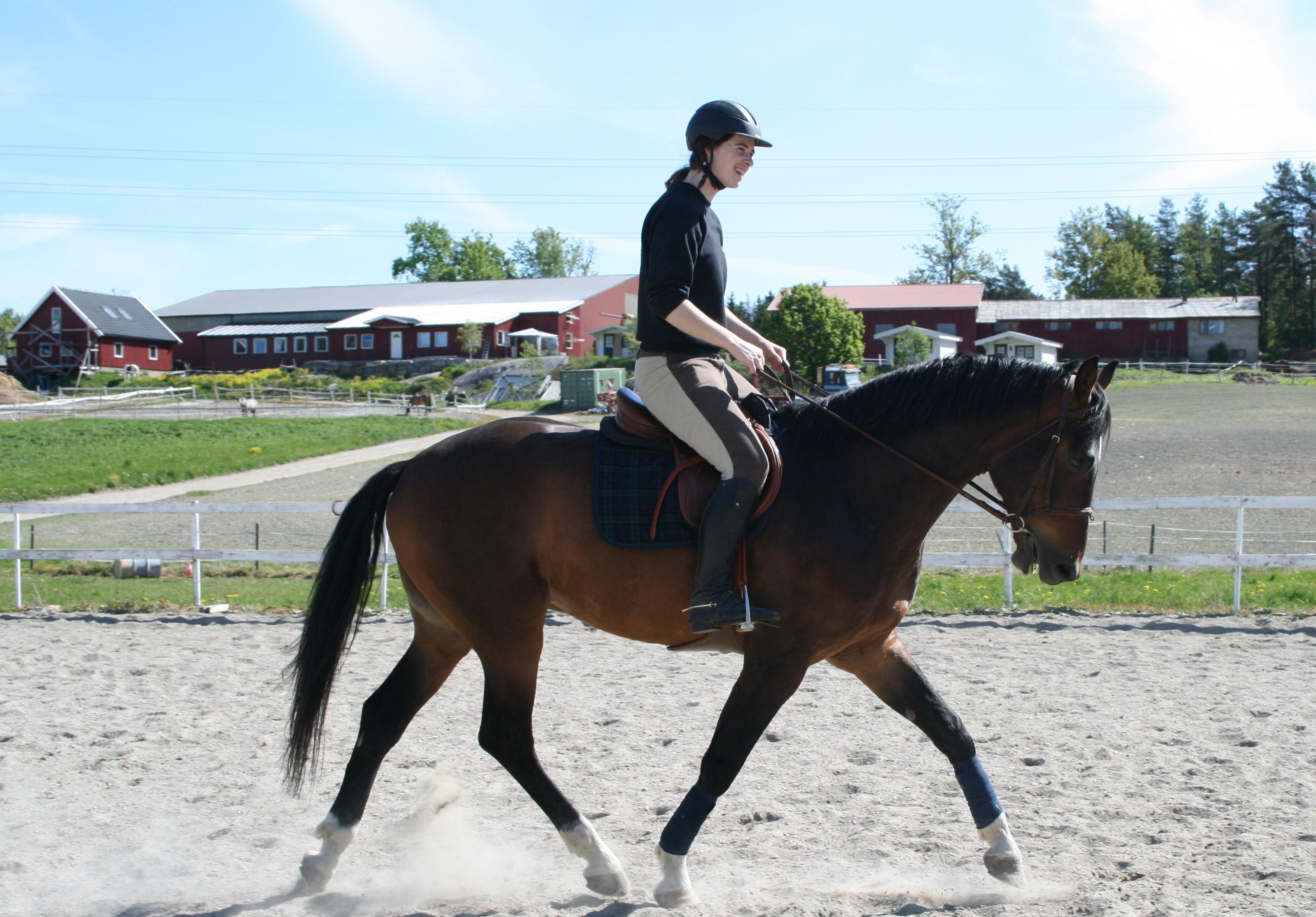 Hasle ridesenter Marianne Heltzen Rideopplæring, Nesodden - 3