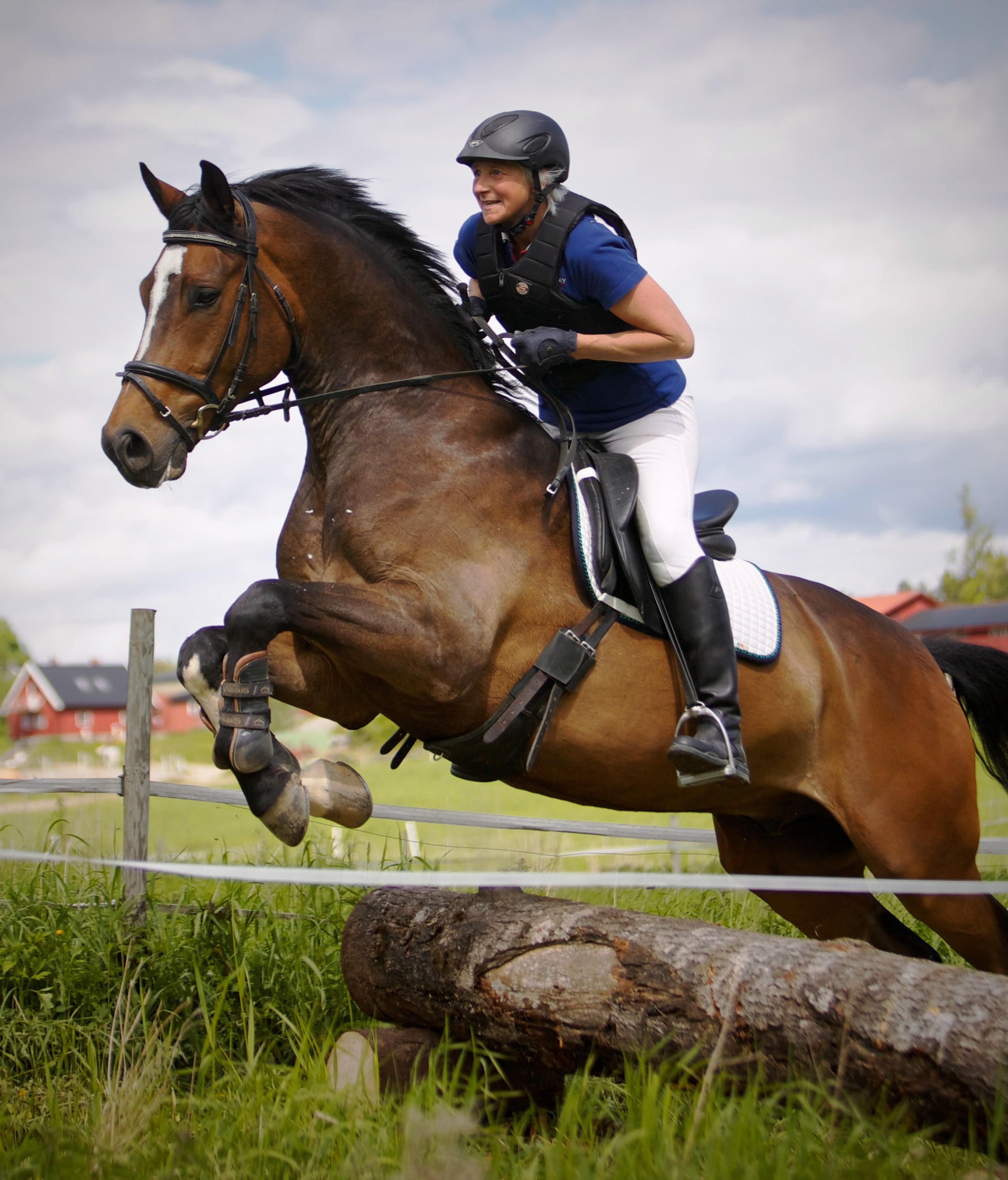 Hasle ridesenter Marianne Heltzen Rideopplæring, Nesodden - 2