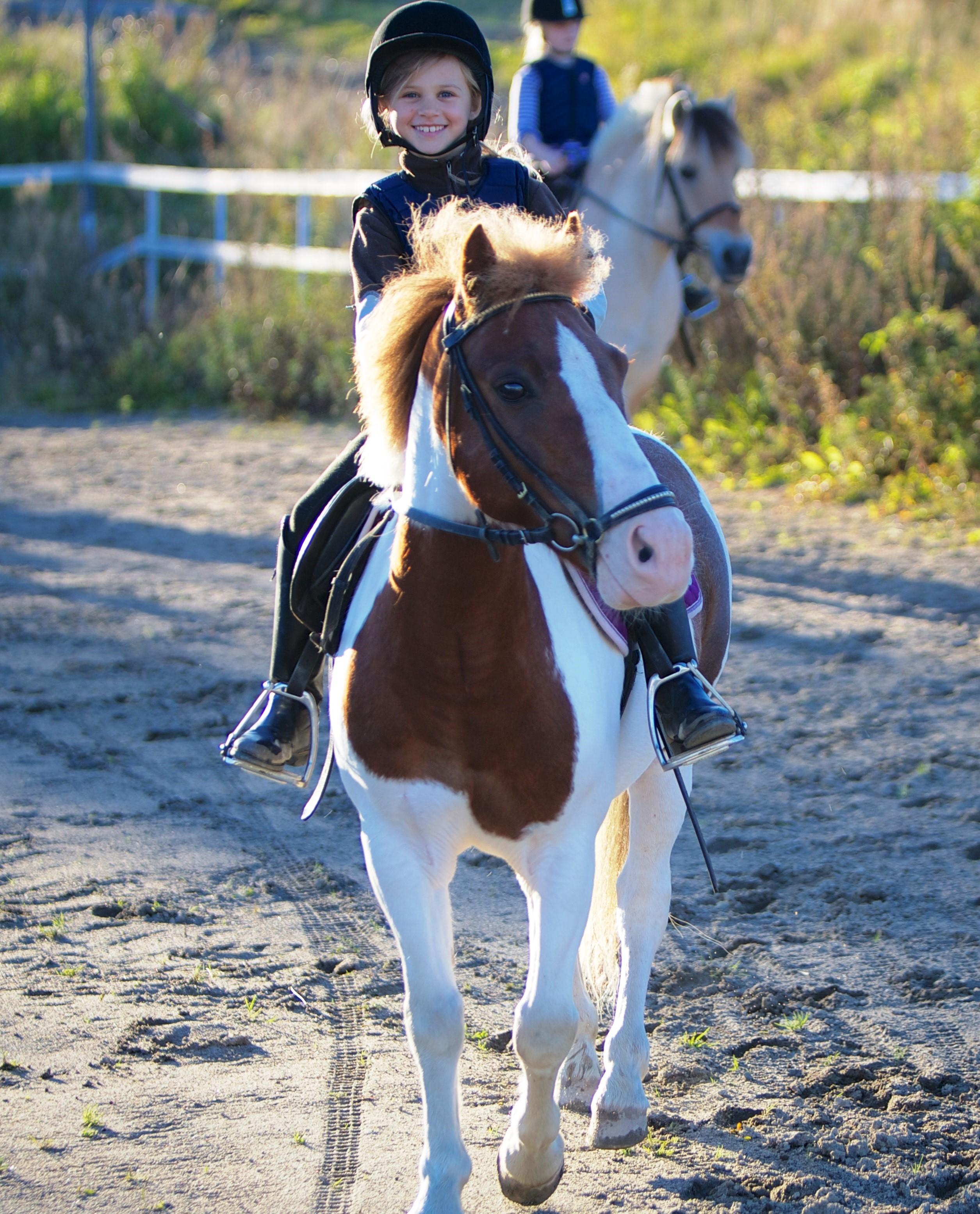 Hasle ridesenter Marianne Heltzen Rideopplæring, Nesodden - 1