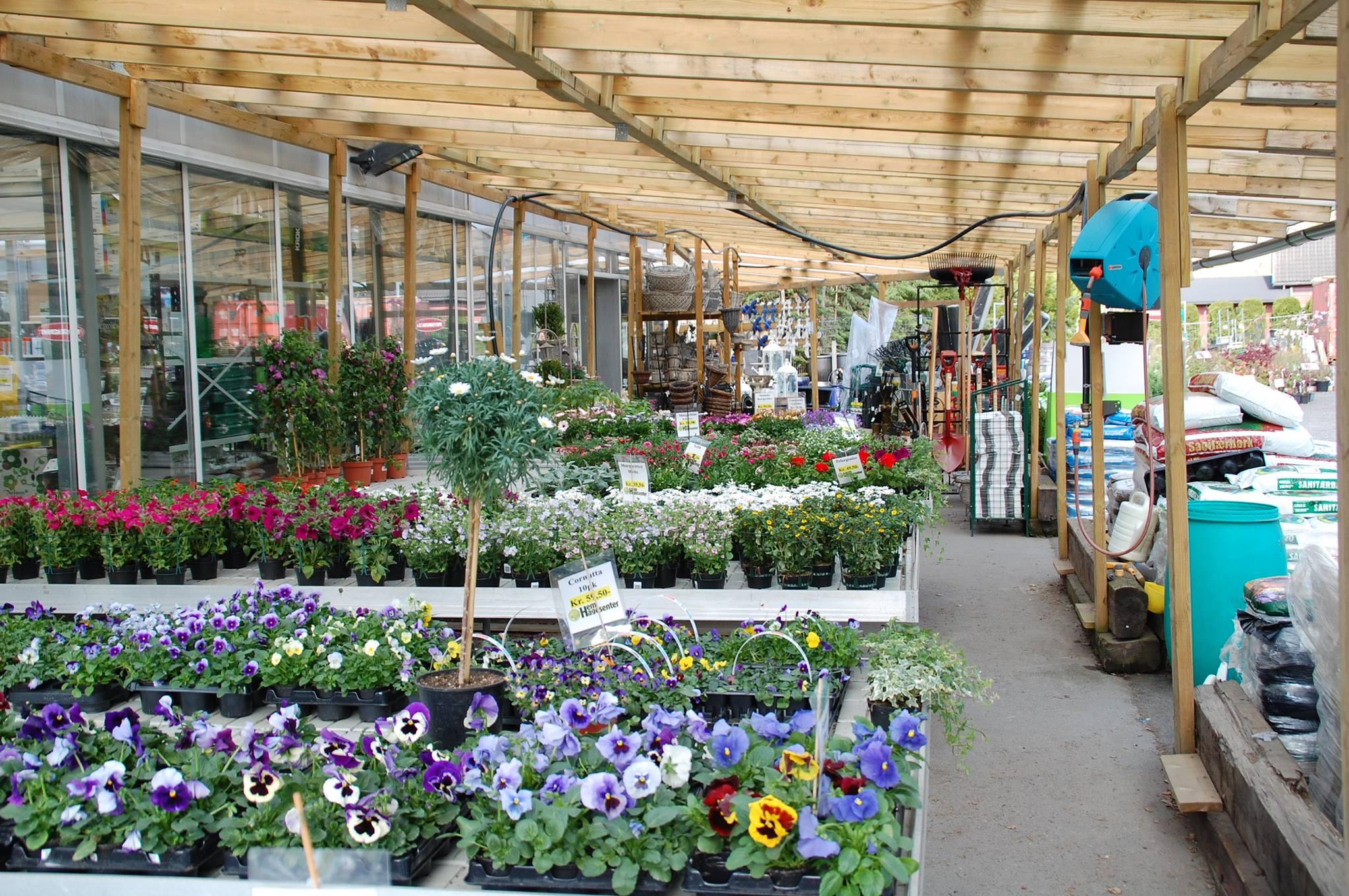 Hem Hagesenter Blomsterbutikk, Larvik - 1