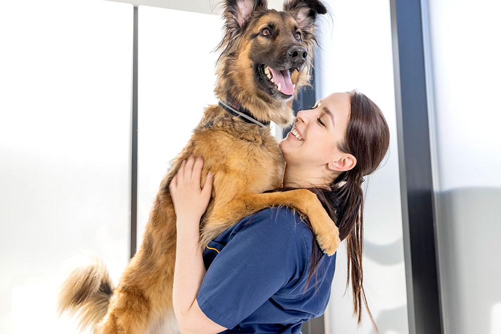 Evidensia Groruddalen Dyreklinikk Veterinær, Oslo - 7