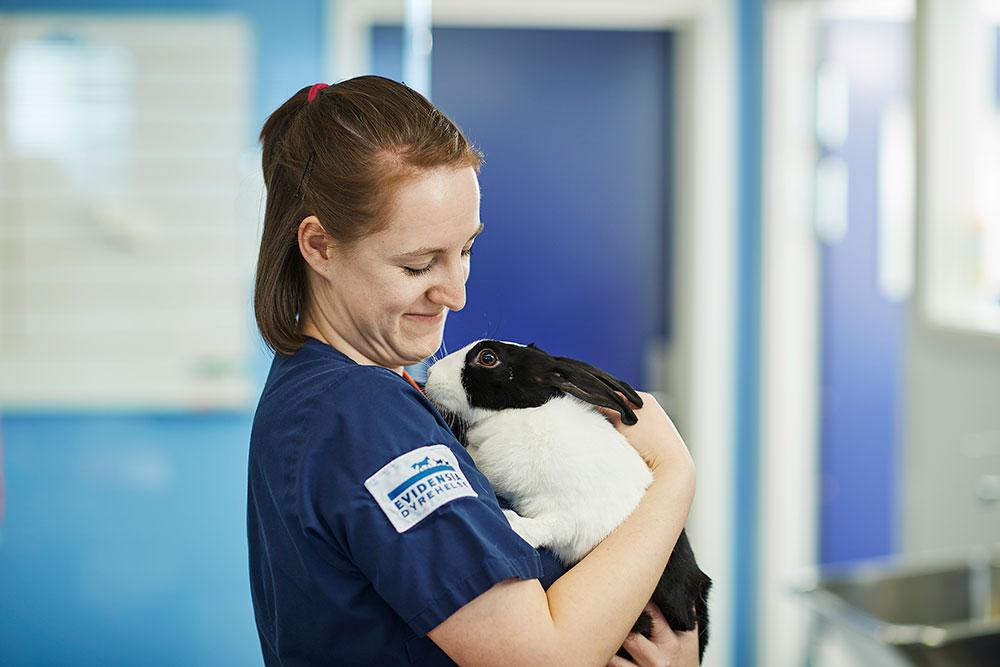 Evidensia Trøndelag Dyreklinikk Veterinær, Trondheim - 5