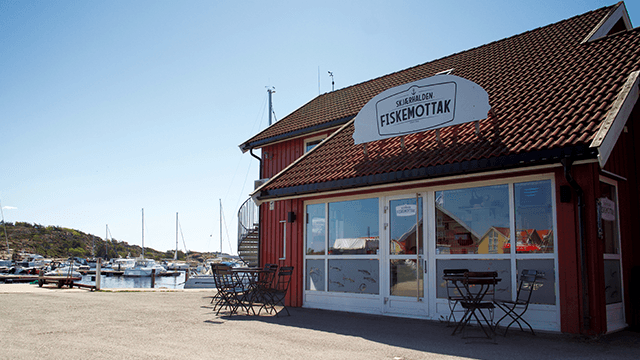 Skjærhalden Fiskemottak AS Fiskeforedling, Hvaler - 5