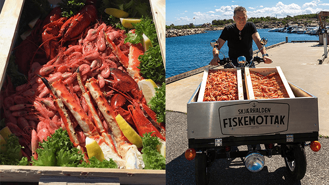 Skjærhalden Fiskemottak AS Fiskeforedling, Hvaler - 7