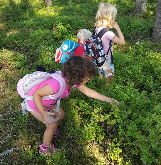 Prestebakke Naturbarnehage SA Barnehage - Privat, Halden - 1