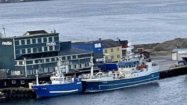 Mikal Solhaug AS Skipsrederier, Båtsfjord - 8