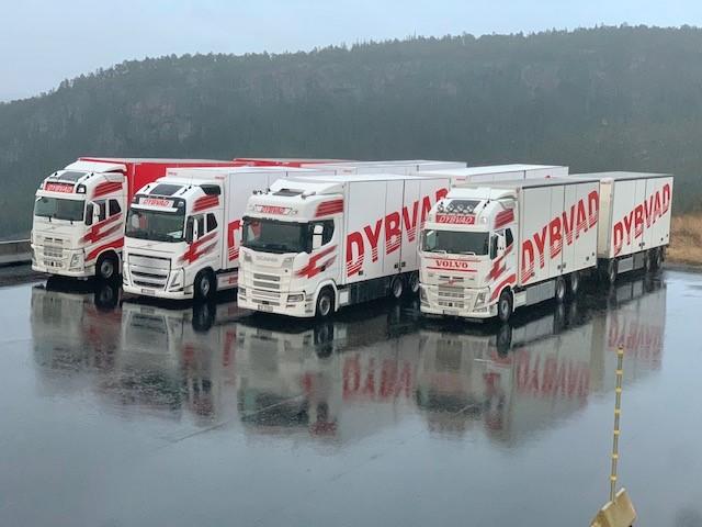 DYBVAD TRANSPORT AS Transport, Malvik - 1