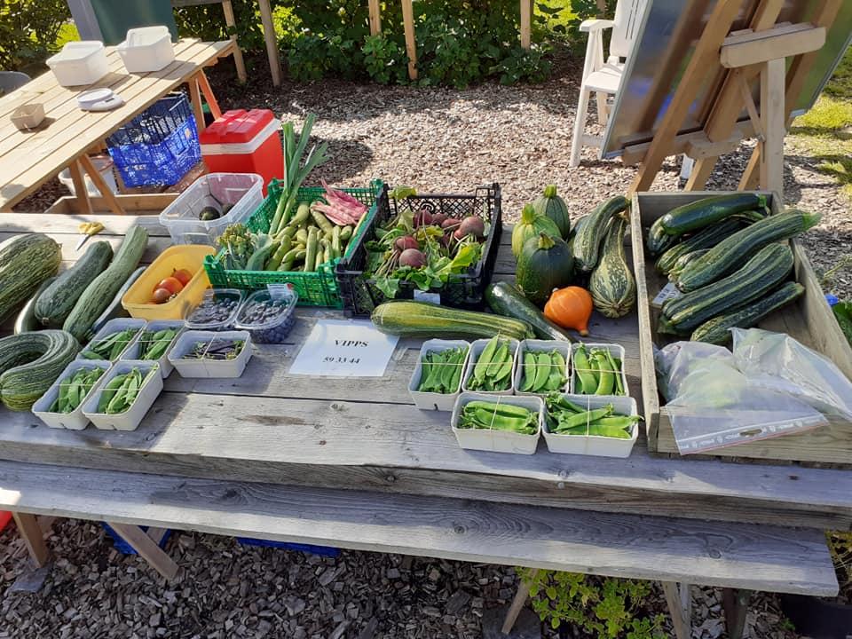 Hima-Grønt Frukt, Bær, Grønnsak - Produksjon, Tysvær - 5