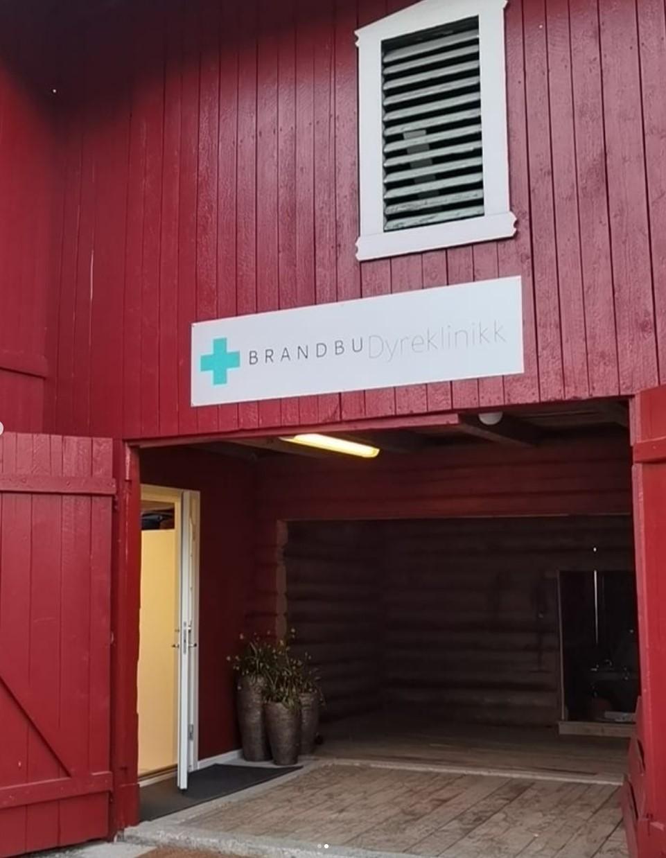 Brandbu Dyreklinikk Veterinær, Gran - 5