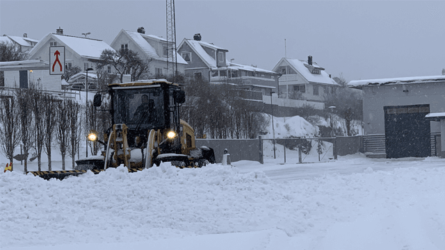 Grenland Vaktmesterkompani AS Vaktmester, Skien - 7