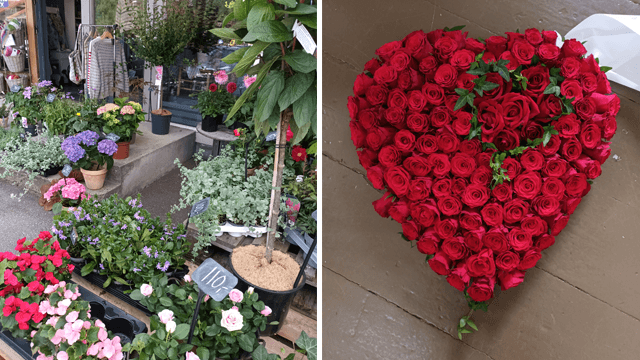 Garnbuketten AS Blomsterbutikk, Gjerstad - 8