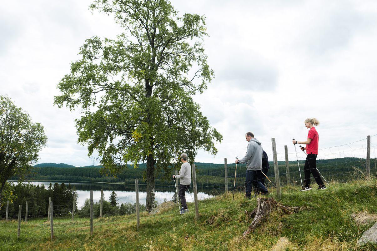 Unicare Landaasen Rehabiliteringssenter, Søndre Land - 8