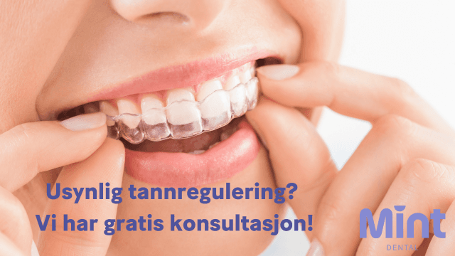 Mint Dental Bjølsen Tannlege, Oslo - 5