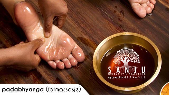 Sanju Ayurvedisk Massasje Spa, Kursted, Tana - 6