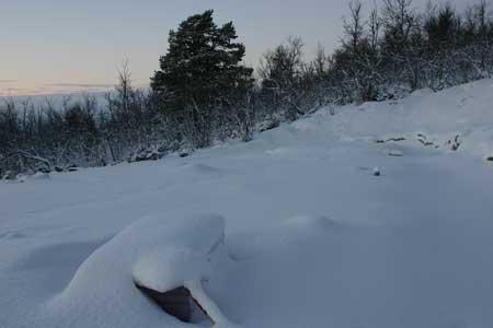 Fjelltomter AS Hytte, Nore og Uvdal - 4