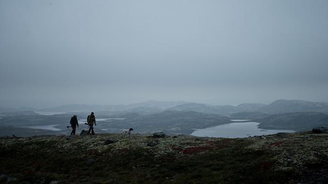 Skøyen Osteopatiske Senter Fysioterapeut, Oslo - 1