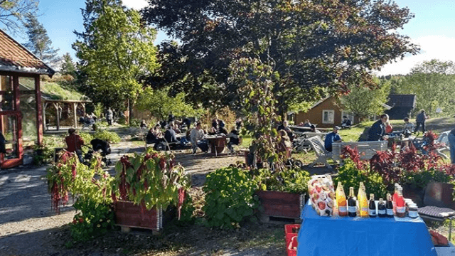 Holt Gård i Undrumsdal Gårdsturisme, Tønsberg - 10