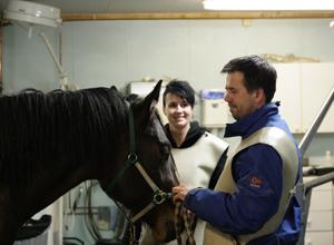 Biri Hesteklinikk Veterinær, Gjøvik - 1