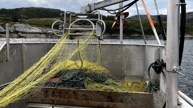 Hyra AS Fiskeutstyrproduksjon, Nærøysund - 1