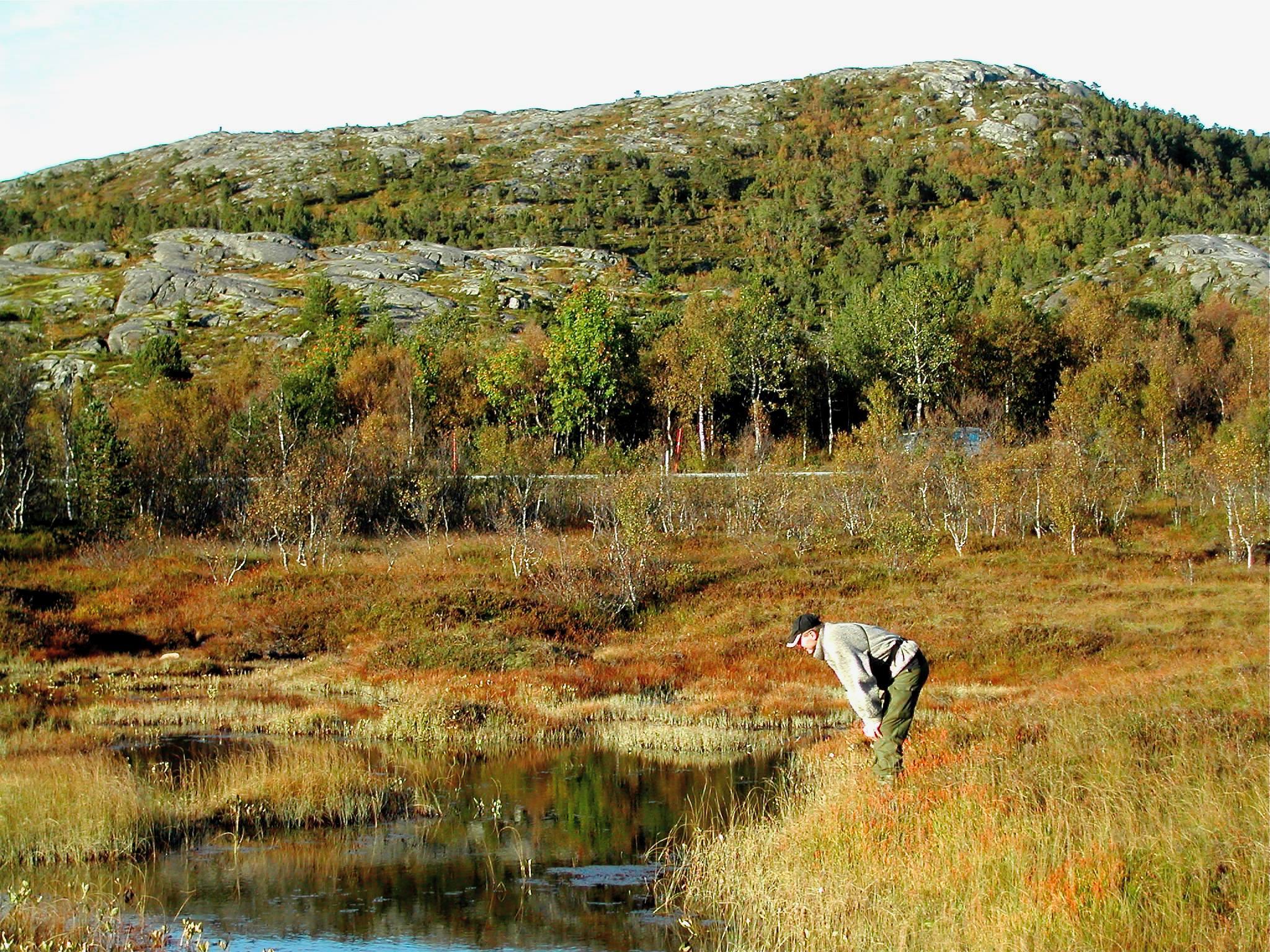 Miljøfaglig Utredning AS Kurs, Harstad - 2