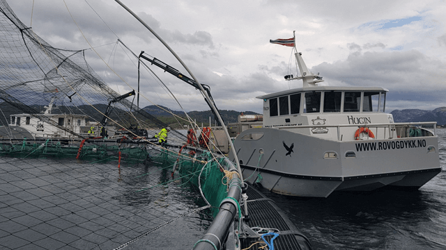 Rov & Dykker Service AS Redningstjeneste, Flekkefjord - 1