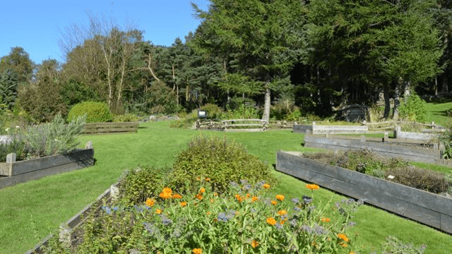 Stavanger botaniske hage Museum, Stavanger - 2