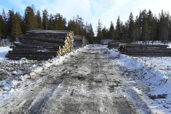 Løvenskiold Vei og Plan AS Arealplanlegging, Samferdselsteknikk - Rådgivende ingeniør, Ringerike - 12