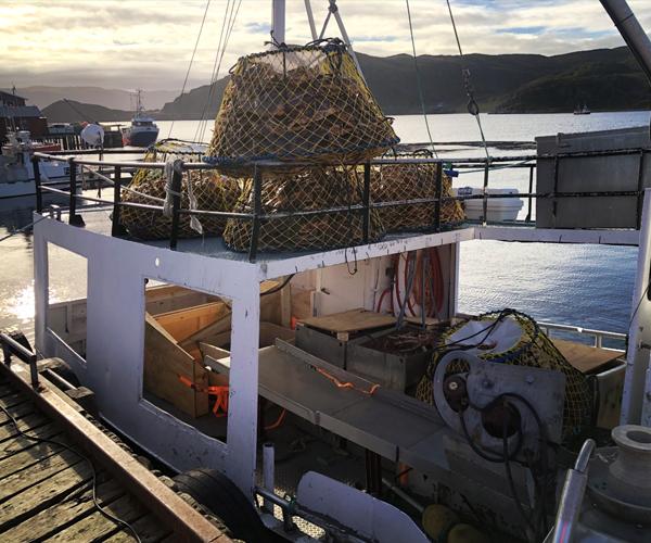 Finnmark Fangst & Utleie AS Skipsrederier, Hammerfest - 6