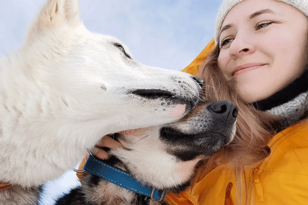 Brandbu Dyreklinikk Veterinær, Gran - 15