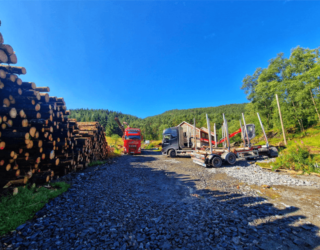 Hardanger Skog AS Transport, Ullensvang - 3