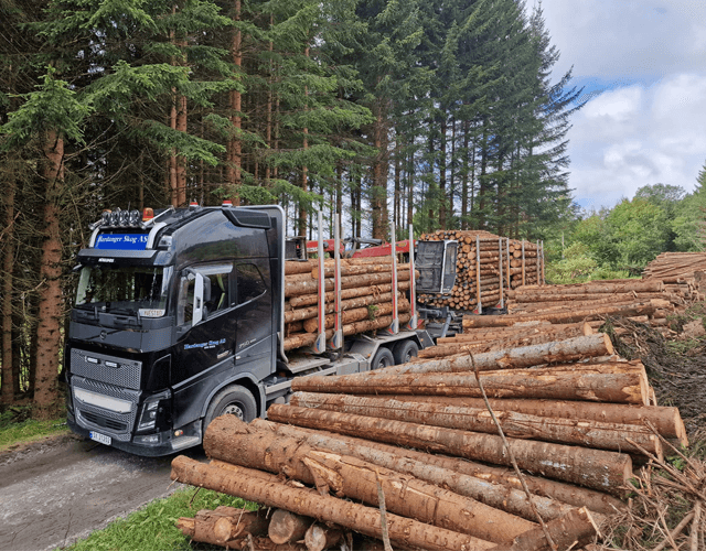 Hardanger Skog AS Transport, Ullensvang - 4