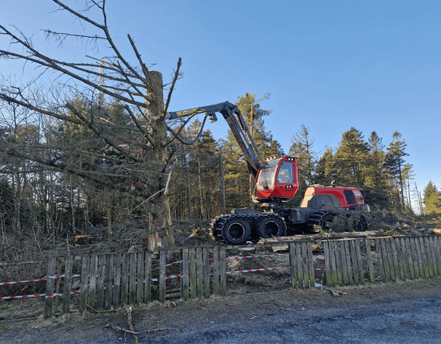 Hardanger Skog AS Transport, Ullensvang - 5