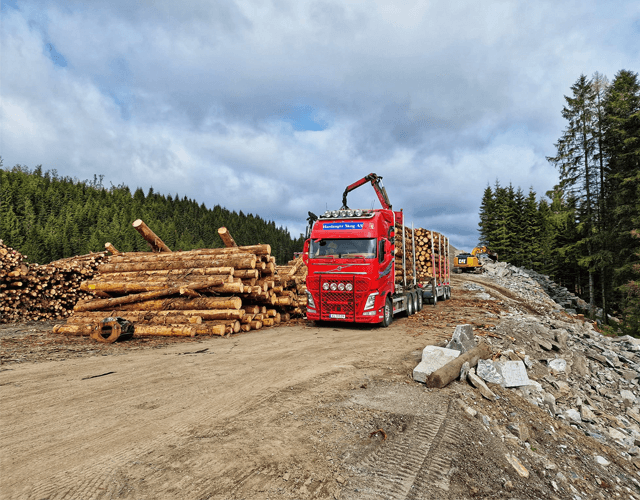 Hardanger Skog AS Transport, Ullensvang - 7