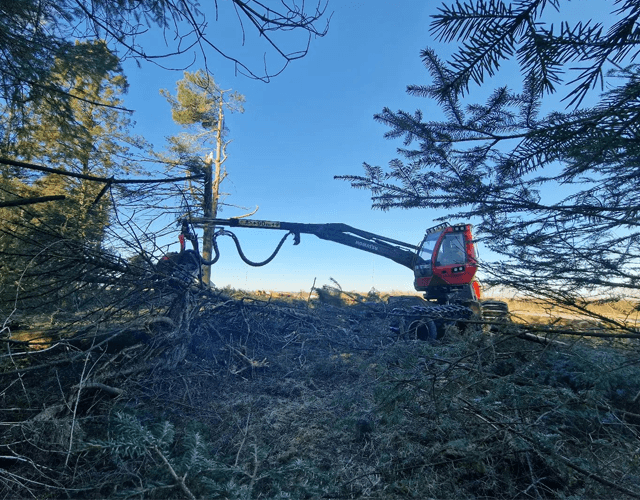 Hardanger Skog AS Transport, Ullensvang - 8