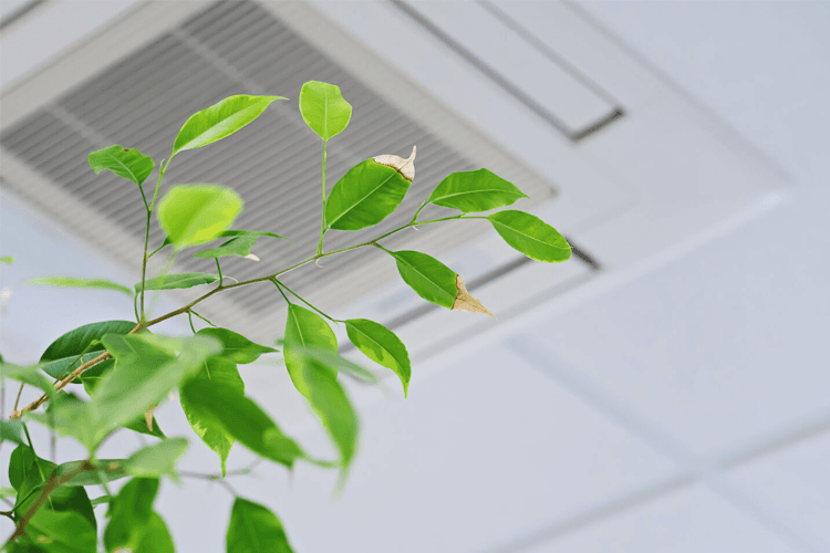 Kem Prosjekt AS Ventilasjonsanlegg, Varmluftsanlegg, Steinkjer - 1