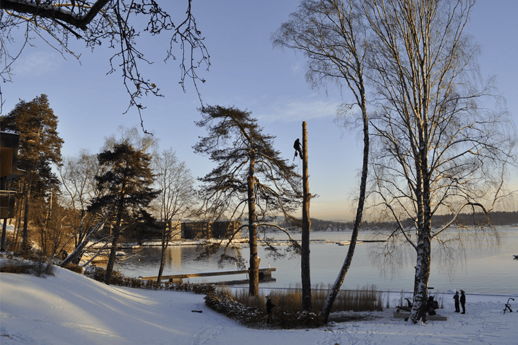 NORSK TREPLEIE AS Anleggsgartner, Lier - 1