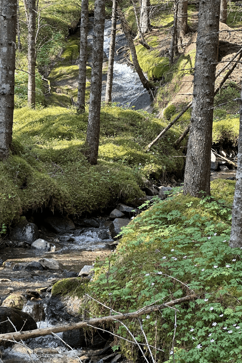 Rotevatn Terapi Helsetjeneste, Drammen - 1