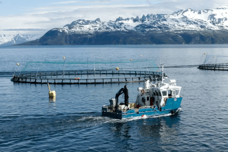 Arnøy Laks AS Fiskeoppdrett, Skjervøy - 1