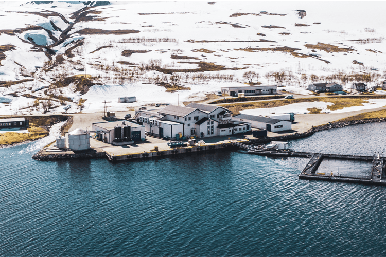 Arnøy Laks AS Fiskeoppdrett, Skjervøy - 2