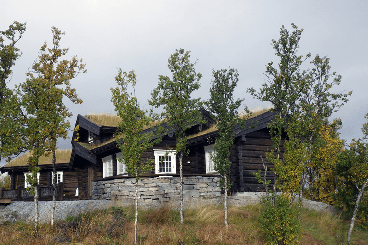 HALLINGSAG AS Sagbruk, Høvleri, Ål - 2