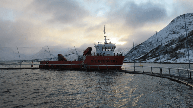 BOREAL MARITIM AS Shipping, Skjervøy - 1