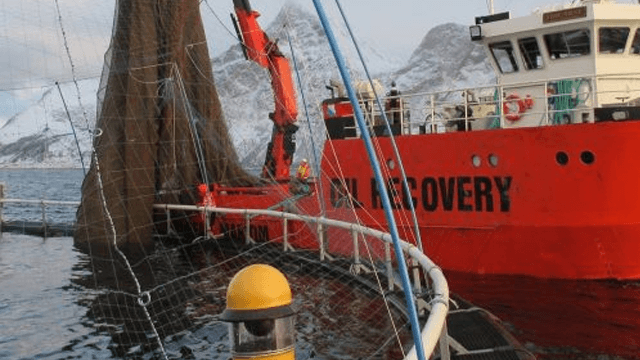 BOREAL MARITIM AS Shipping, Skjervøy - 4