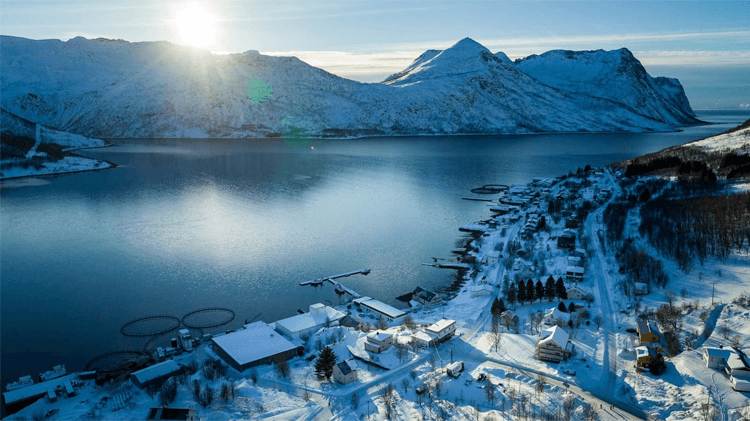 Senja by Heart Aktivitetsarrangør, Senja - 1