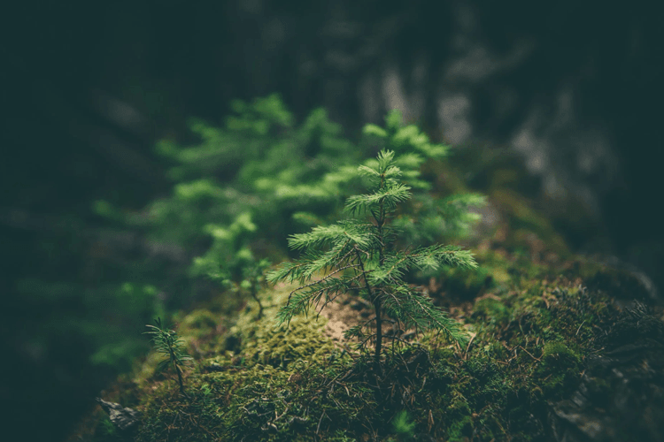 Coperando AS Bedriftsutvikling, Bedriftsrådgivning, Trondheim - 5