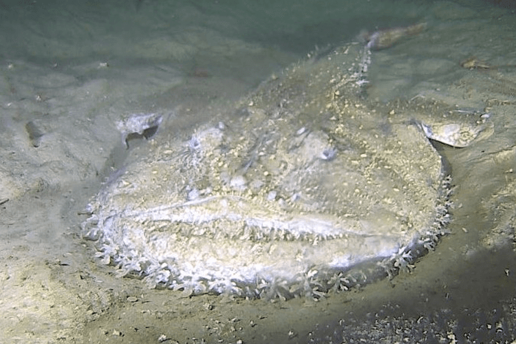 Rådgivende Biologer AS Forskning, Utvikling, Bergen - 1