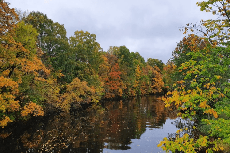 Parlivet Aslaksen Psykolog, Bærum - 1