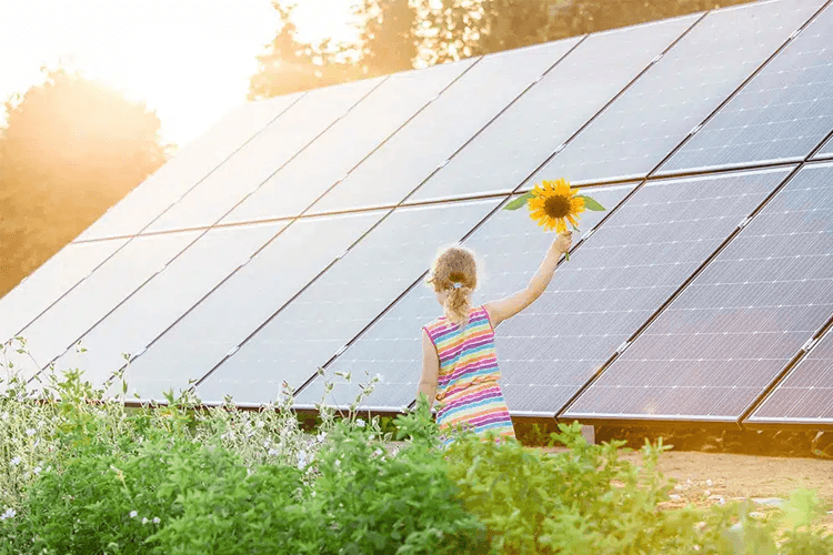 El-Tjenester AS Solenergipanel, Nord-Aurdal - 7