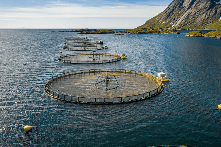 BRØDRENE DAHL A/S Rørleggerutstyr, Rana - 5