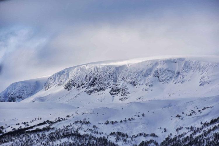 Hallingdal Næringshage AS Bedriftsutvikling, Bedriftsrådgivning, Ål - 1