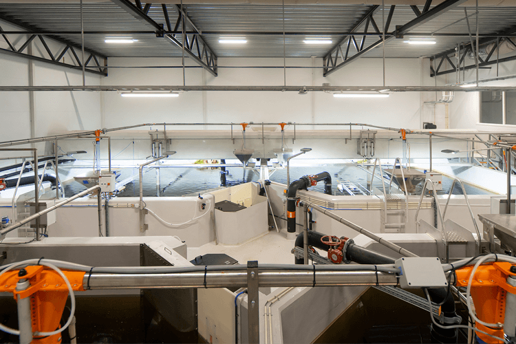 Pure Salmon Technology As Industridesigner, Sandefjord - 6